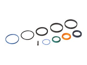 Ram Seal Kit 991/20019