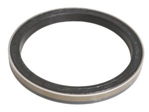 10/906507 JCB HUB SEAL
